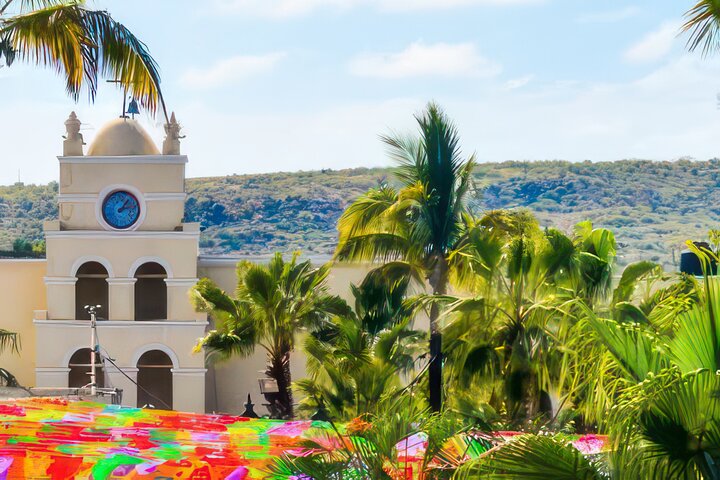Fiesta Bike Tour in Todos Santos