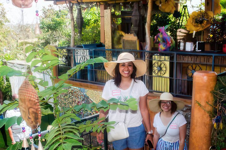 Fiesta Bike Tour in Todos Santos