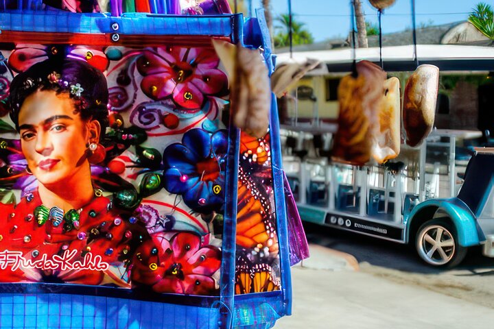 Fiesta Bike Tour in Todos Santos
