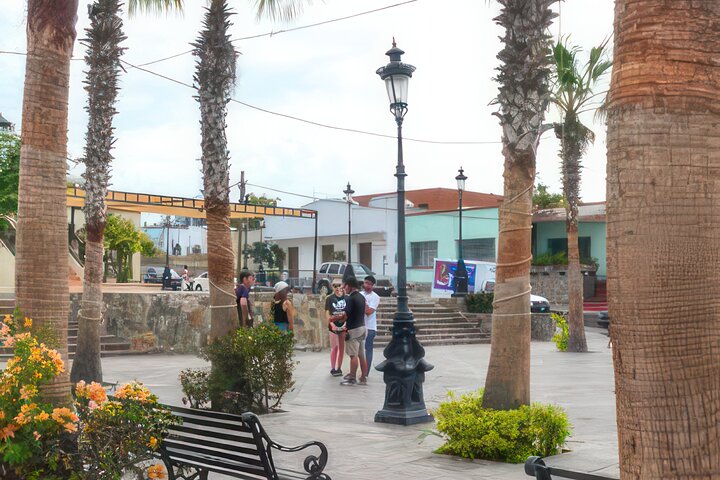 Fiesta Bike Tour in Todos Santos