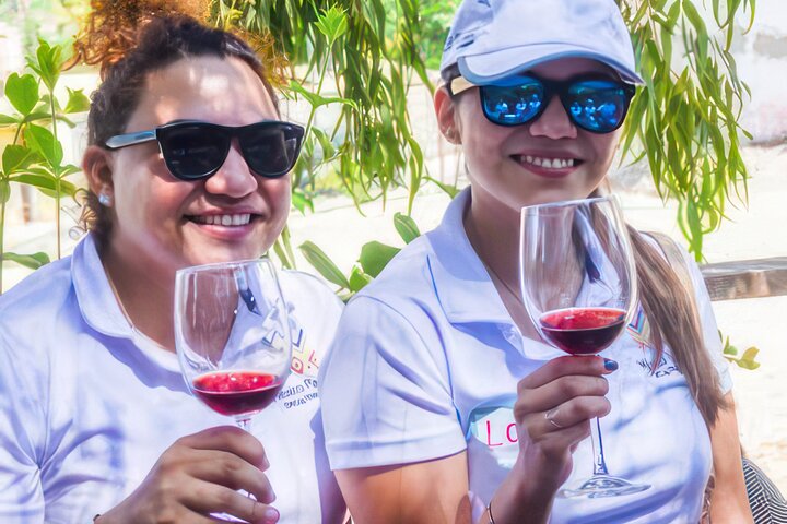 Fiesta Bike Tour in Todos Santos
