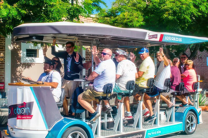 Fiesta Bike Tour in Todos Santos