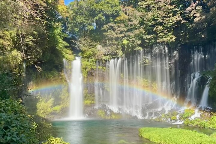 Fuji Highlights Group Car Tour by Shimizu Port with Local Guide