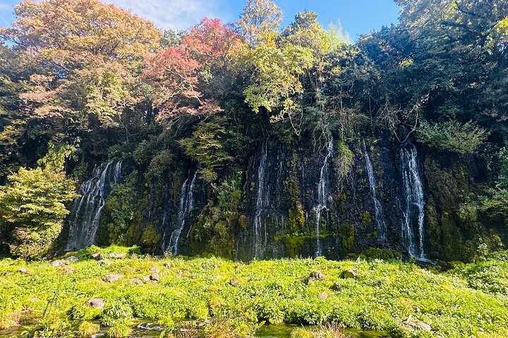 Fuji Highlights Group Car Tour by Shimizu Port with Local Guide