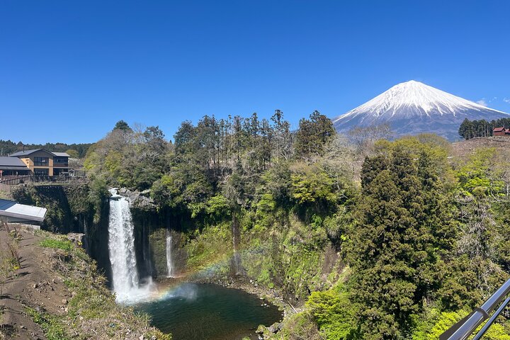 Fuji Highlights Group Car Tour by Shimizu Port with Local Guide