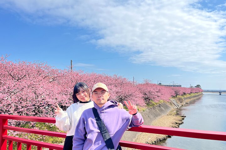Ultimate View Izu Car Tour with Hotel Pickup and Local Guide
