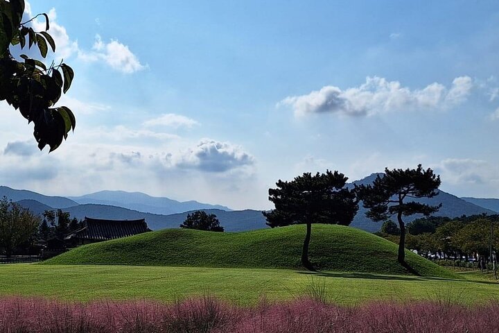 The Heart of Gyeongju: 4-Hour Private Tour with a Local guide