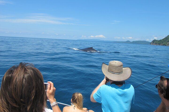 Tortuga Island Snorkeling Boat Tour from Santa Teresa Costa Rica