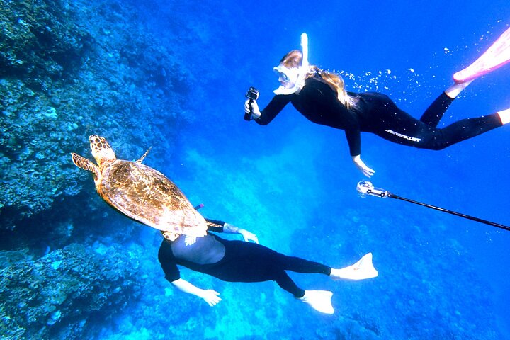 Okinawa:Naha Full-Day Kerama Islands National Park snorkelingTour