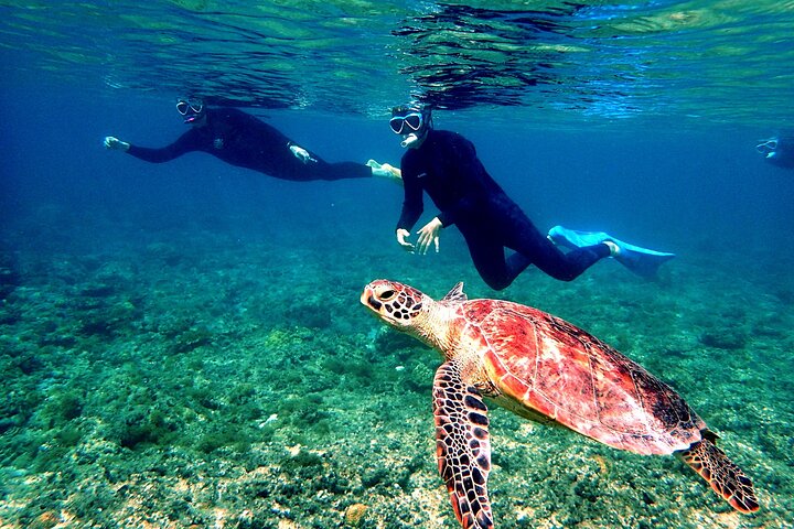 Okinawa:Naha Full-Day Kerama Islands National Park snorkelingTour