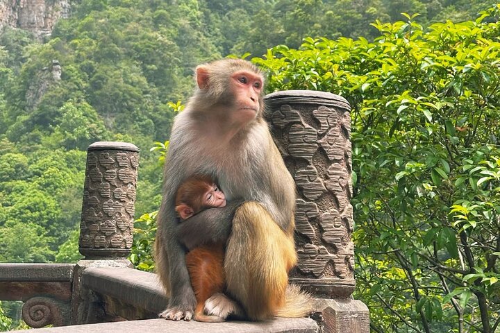 2-Day Small Group:Unlock Zhangjiajie's Must-See Sights
