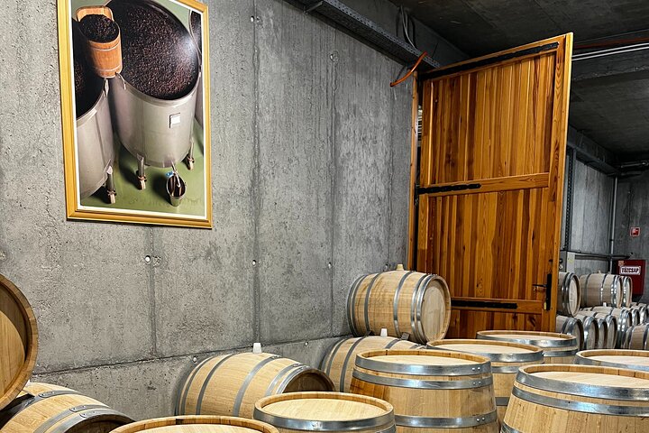 Aszú Like It: The Sweetest Tour in Tokaj