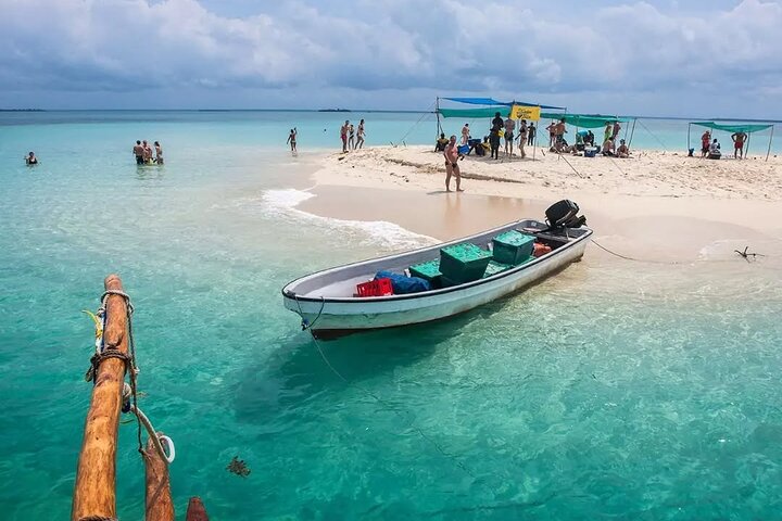 Full-Day Zanzibar Dolphins, Turtle Salaam Cave & Jozani Forest