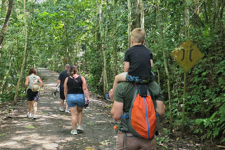 Gamboa Rainforest: Hike Trail, Boat Expedition & Optional Zipline