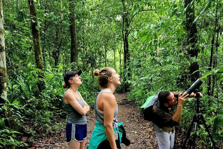 Corcovado National Park Sirena Day Tour From Puerto Jimenez