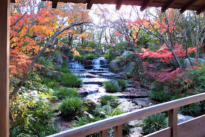 Half Day Tour in Himeji Castle and Koko-en