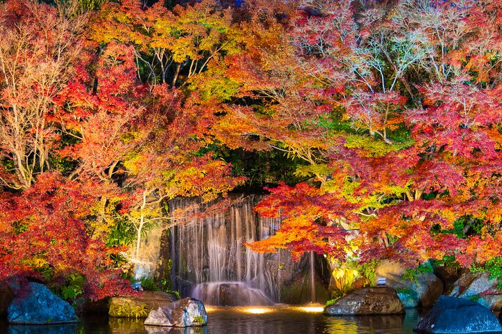 Half Day Tour in Himeji Castle and Koko-en