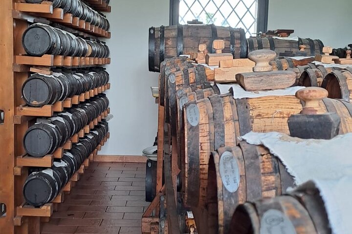 Parmigiano Reggiano & Aceto Balsamico tour with lunch