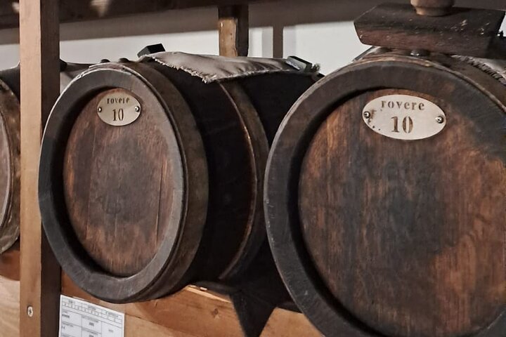 Parmigiano Reggiano & Aceto Balsamico tour with lunch