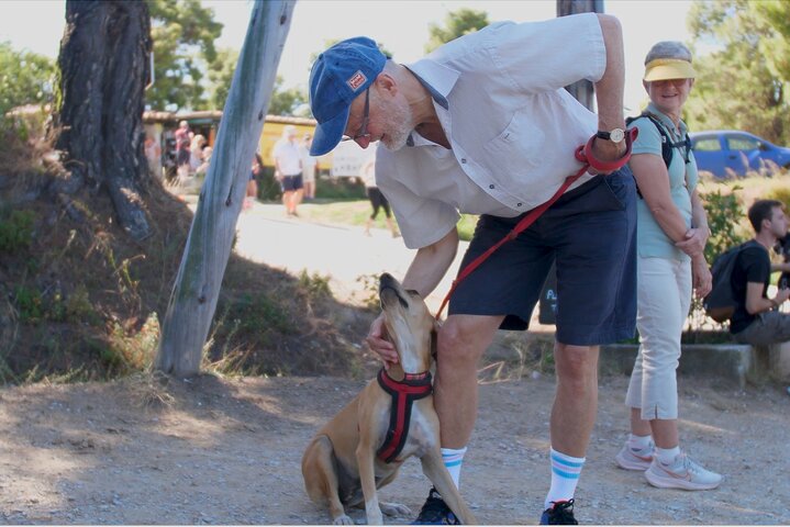 Make a dog's day and taste Greece in Skiathos