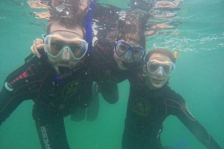 Guided Dive Snorkel c/ Photos in Turtle Paradise