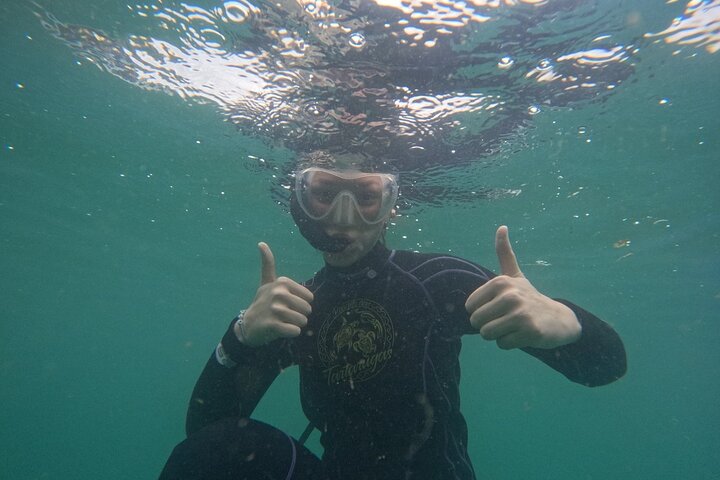 Guided Dive Snorkel c/ Photos in Turtle Paradise