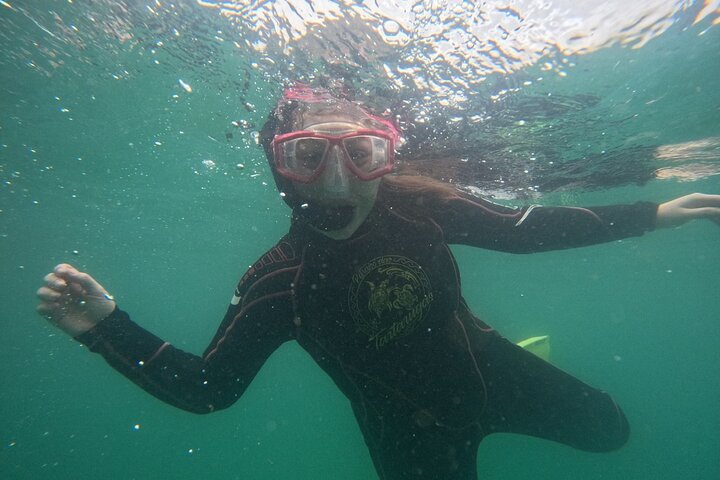 Guided Dive Snorkel c/ Photos in Turtle Paradise