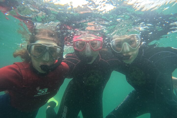 Guided Dive Snorkel c/ Photos in Turtle Paradise