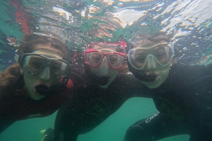 Guided Dive Snorkel c/ Photos in Turtle Paradise