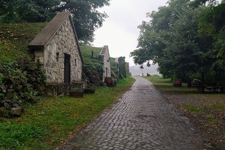 Aszú Like It: The Sweetest Tour in Tokaj