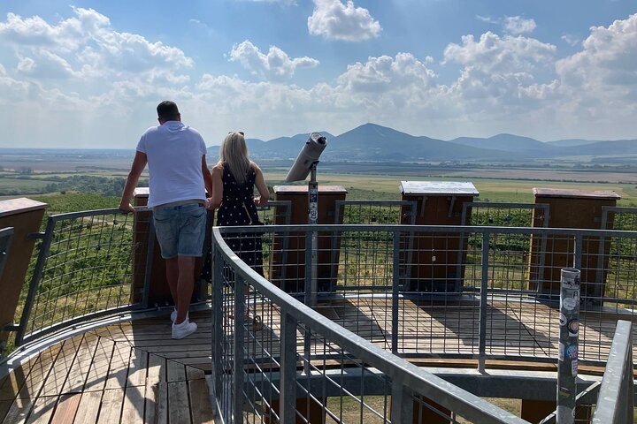 Aszú Like It: The Sweetest Tour in Tokaj