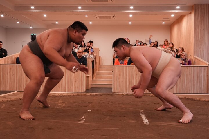 Tokyo Shinjuku Sumo Show & Experience with Photo