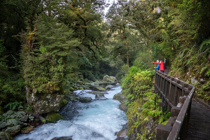 Full-Day Milford Sound Tour with Cruise and Walks from Te Anau