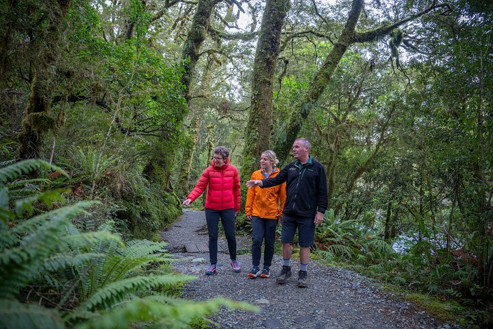 Full-Day Milford Sound Tour with Cruise and Walks from Te Anau