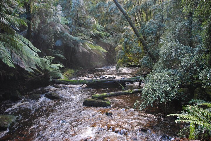 5-Day Best of Tasmania Tour from Hobart