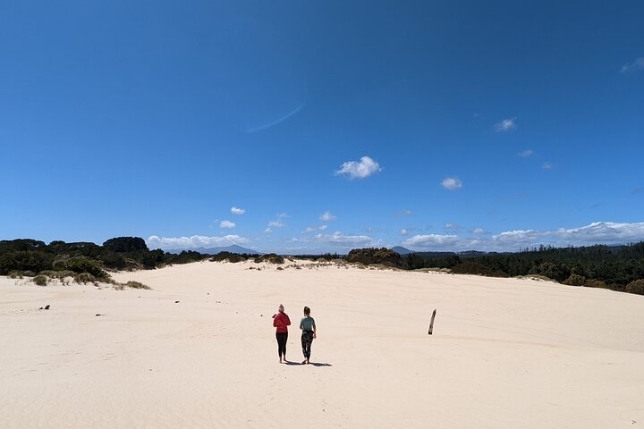 5-Day Best of Tasmania Tour from Hobart