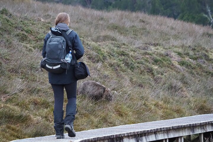5-Day Best of Tasmania Tour from Hobart