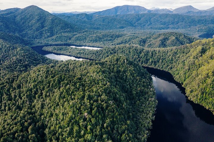 Morning World Heritage Cruise on the Gordon River from Strahan