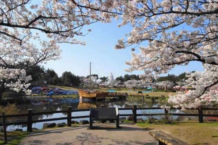 Sakata Private Shore Excursion – Yamagata Highlights