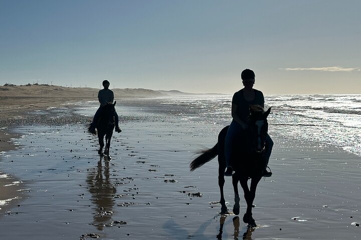 Horseback Riding in Essaouira - Essaouira HorseRiding