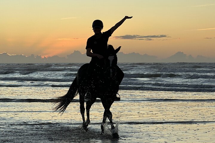 Horseback Riding in Essaouira - Essaouira HorseRiding