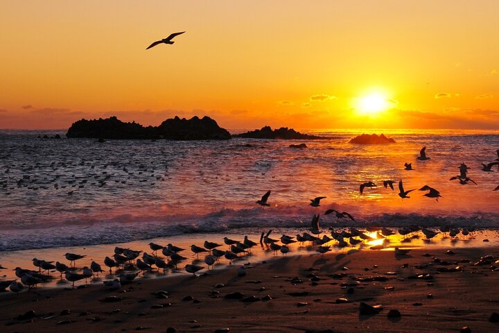Private Car Charter Service :Gyeongju&Suburbs Tour(From Gyeongju)