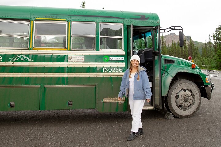 Denali in a Day Sightseeing Package