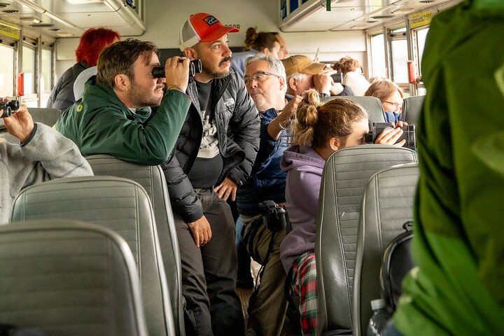 Denali in a Day Sightseeing Package
