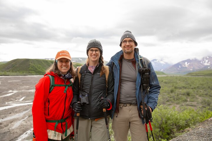 Denali in a Day Sightseeing Package