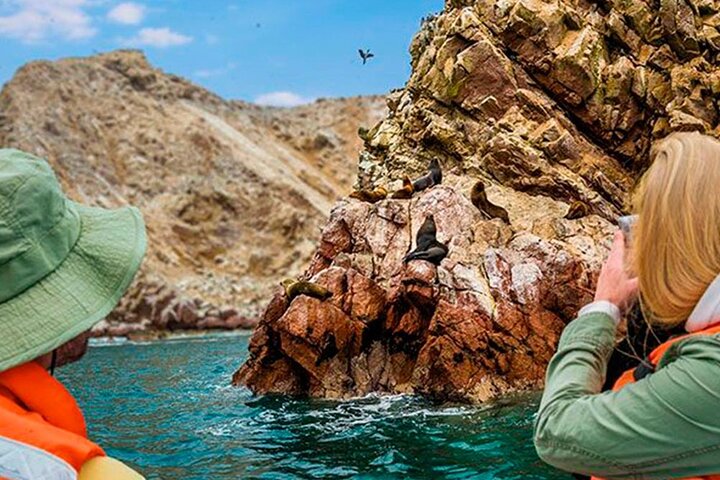 Premium Paracas & Huacachina Day Trip from Lima with Sunset Toast