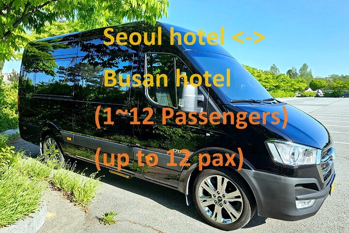 Private Airport Transfer From Incheon Airport To Seoul(up to 12)