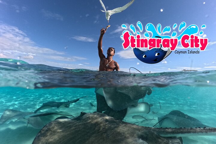 Stingray City and Starfish Experience with Coral Reef Snorkeling