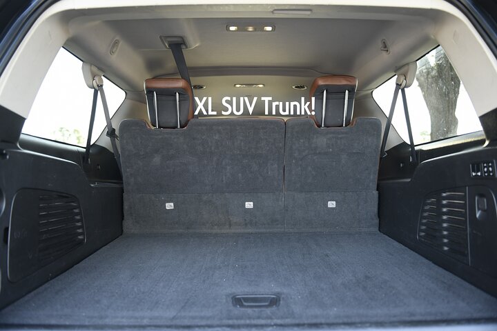 Private Shuttle from Port Canaveral to Lake Buena Vista Resorts