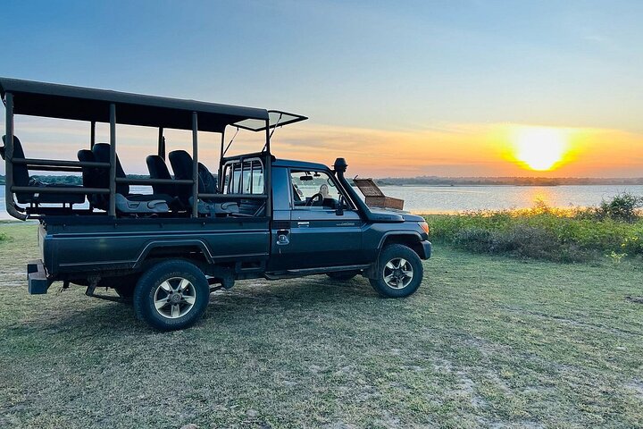 Yala National Park Safari Tours - Half Day & Full Day